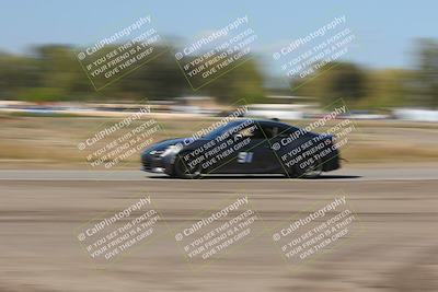 media/Oct-04-2025-OnGrid (Sat) [[44bd565ffa]]/Yellow Group/Grapevine/